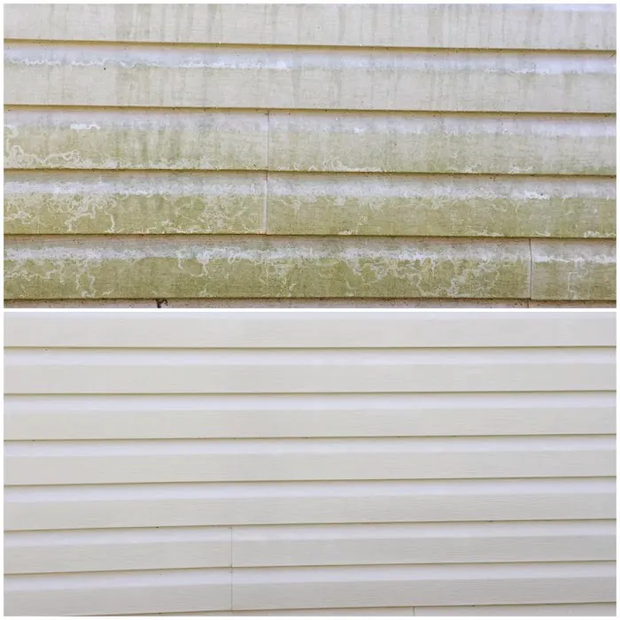 Belin Superior Lawn service LLC Picture 6