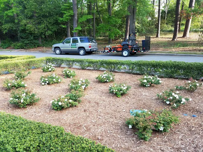 Belin Superior Lawn service LLC Picture 4