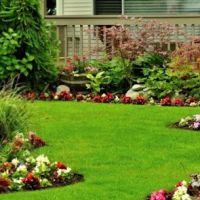 Carolina Pest Management - Monroe ico
