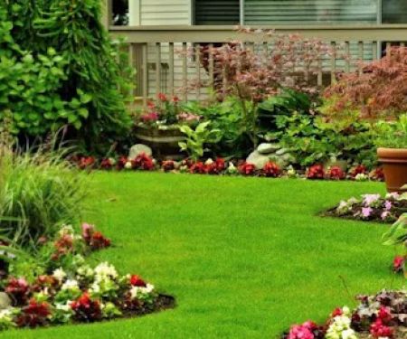 Carolina Pest Management - Monroe