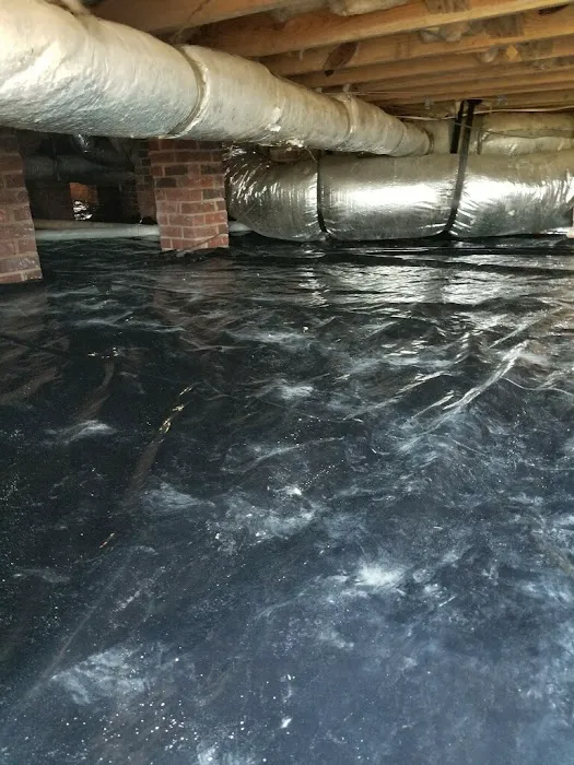 Palmetto Pest Control Termite & Moisture Solutions, LLC Picture 1