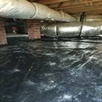 Palmetto Pest Control Termite & Moisture Solutions, LLC