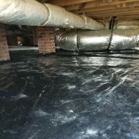 Palmetto Pest Control Termite & Moisture Solutions, LLC ico
