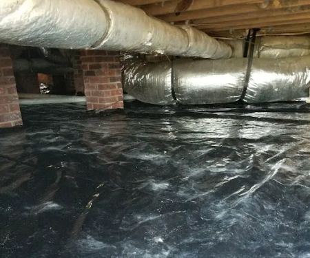 Palmetto Pest Control Termite & Moisture Solutions, LLC