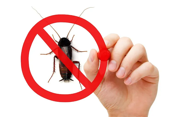Bug Brothers Exterminating Picture 1