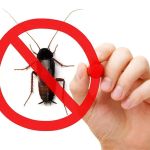 Bug Brothers Exterminating