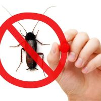 Bug Brothers Exterminating ico