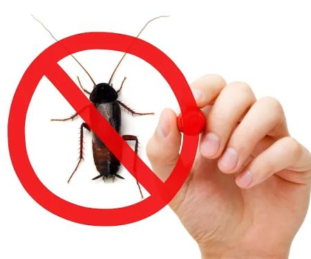 Bug Brothers Exterminating