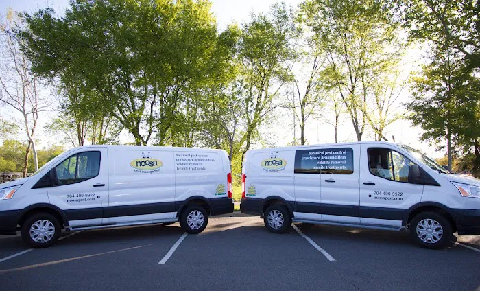 Noosa Pest Management LLC Picture 2