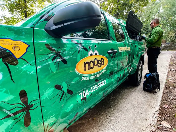 Noosa Pest Management LLC Picture 10