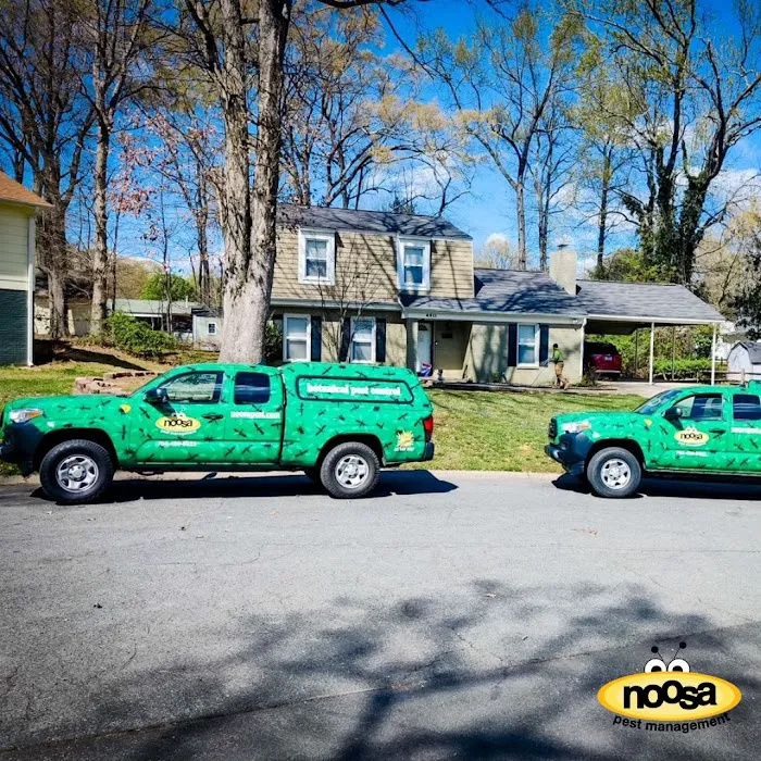 Noosa Pest Management LLC Picture 4