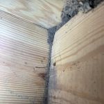 Long Bay Termite Services