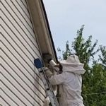 Creature Control LLC