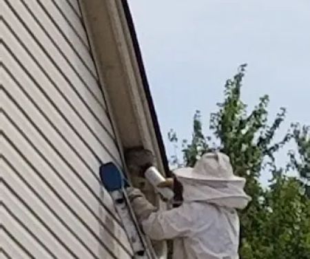 Creature Control LLC