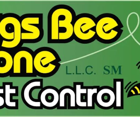 Bugs Bee Gone Llc Pest Control