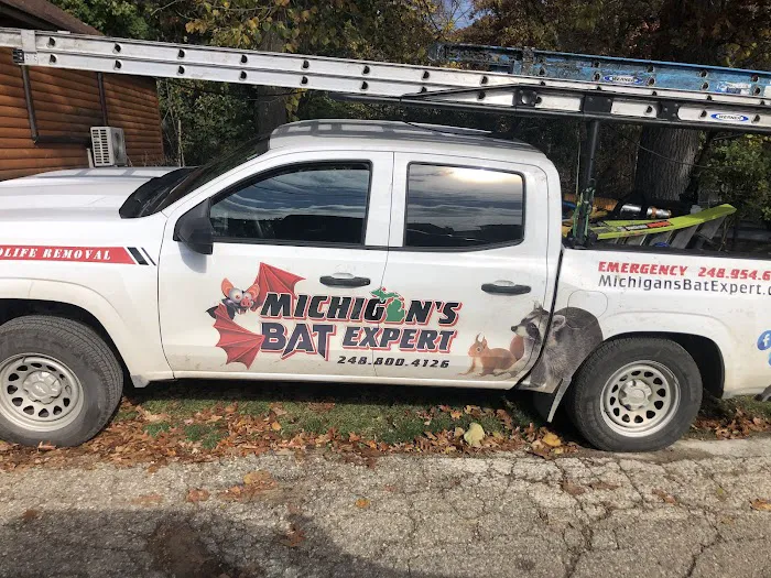 Michigan's Bat Expert Picture 8