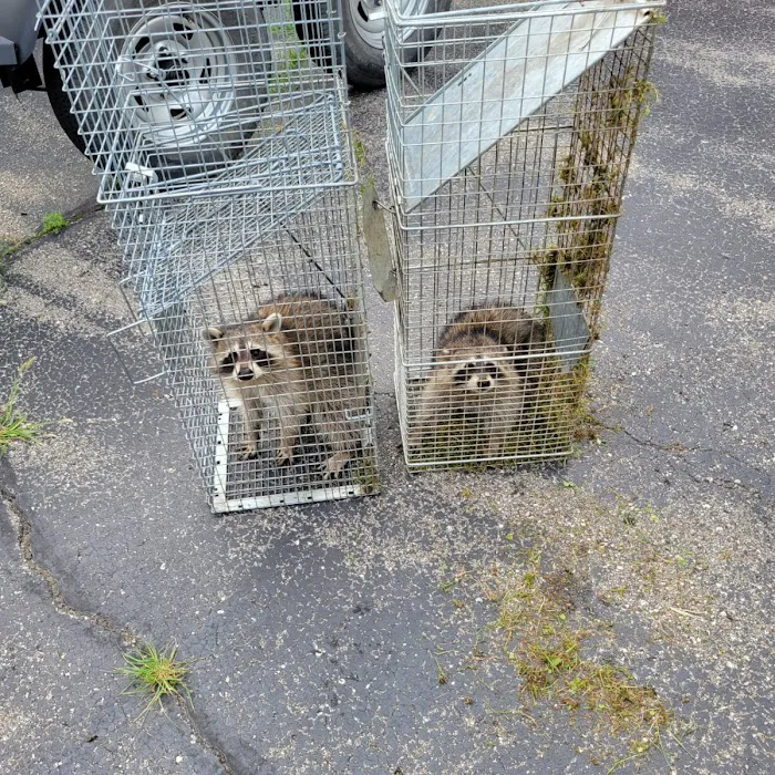 Michigan's Bat Expert Picture 3