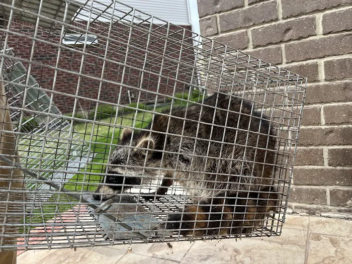 Michigan's Bat Expert Picture 2