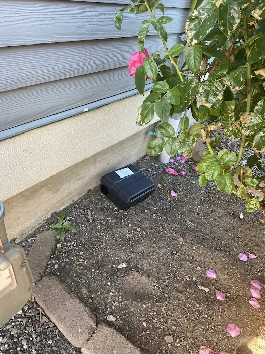 Pest Badger Detroit Picture 4