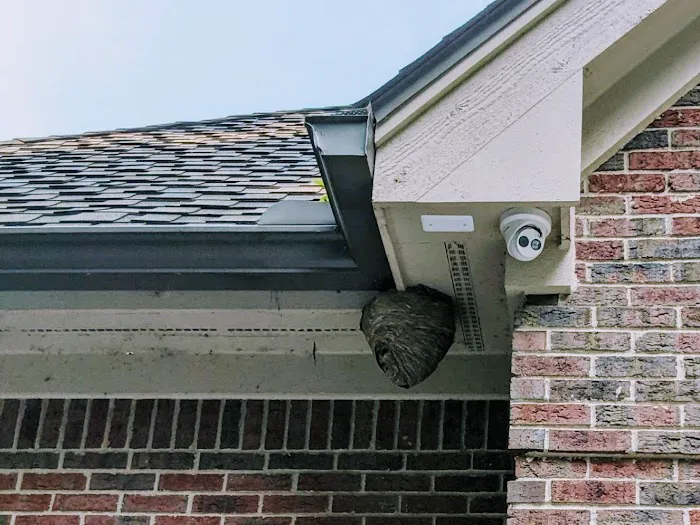 Quality Pest Control Picture 3