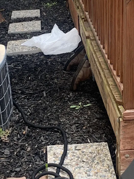A & D Animal Control Picture 6