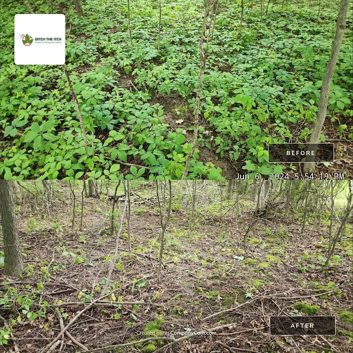 Ditch The Itch - Poison Ivy and Mosquito Control Services Picture 9