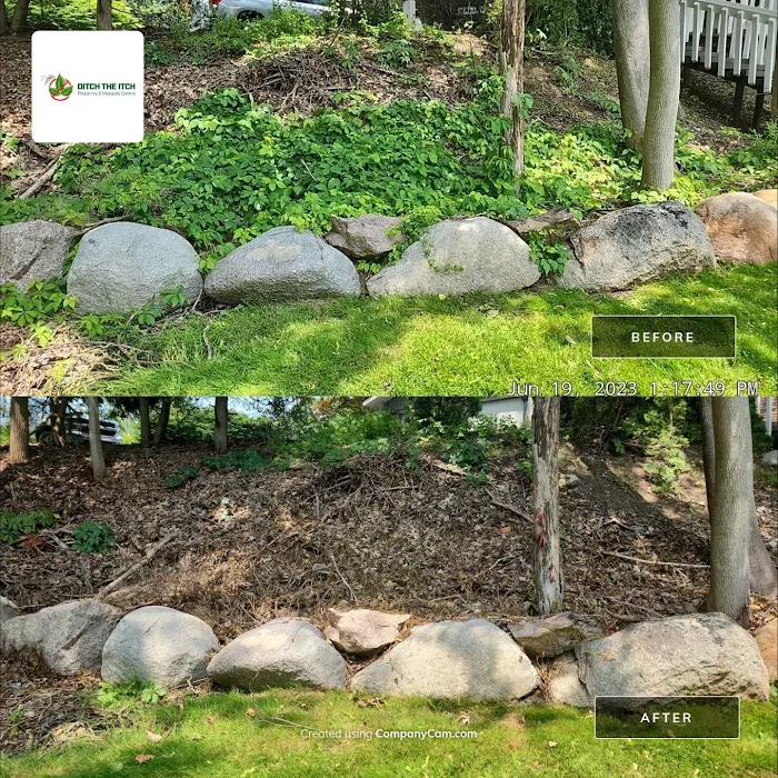 Ditch The Itch - Poison Ivy and Mosquito Control Services Picture 7