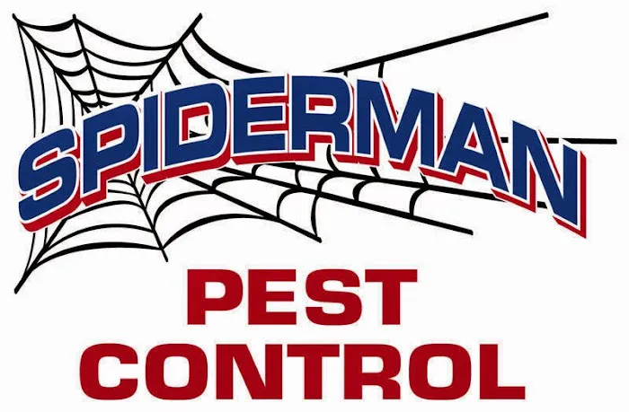 Spider Man Pest Control Picture 6