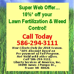 Spider Man Pest Control Picture 1