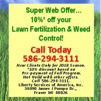 Spider Man Pest Control ico