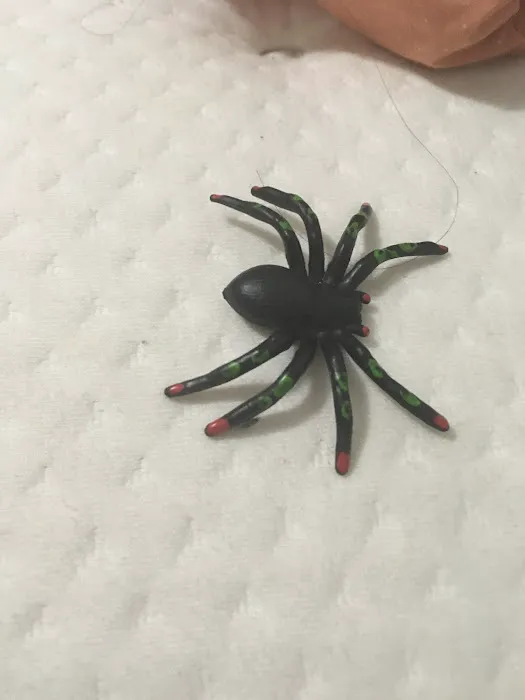 Spider Man Pest Control Picture 2
