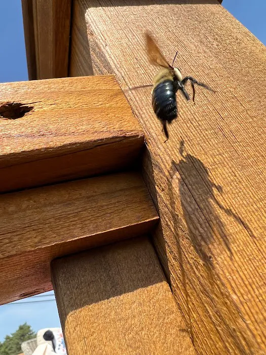 Hi-Tech Pest Control Exterminator Picture 4