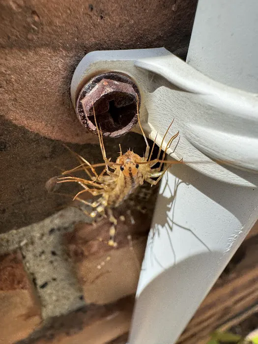 Hi-Tech Pest Control Exterminator Picture 3