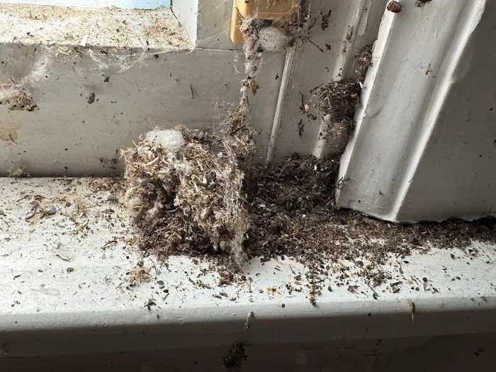 Hi-Tech Pest Control Exterminator Picture 9
