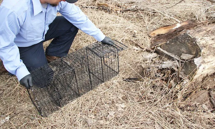 Creature Control LLC Picture 7