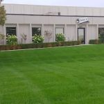 NexGreen Lawn, Tree and Exterior Pest Control
