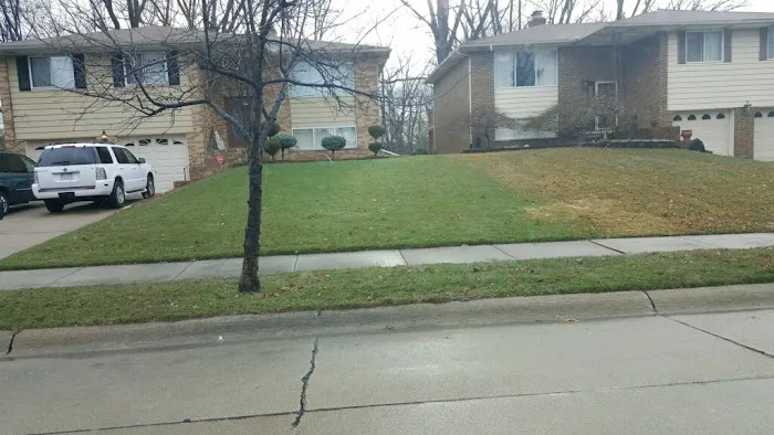 NexGreen Lawn, Tree and Exterior Pest Control Picture 9