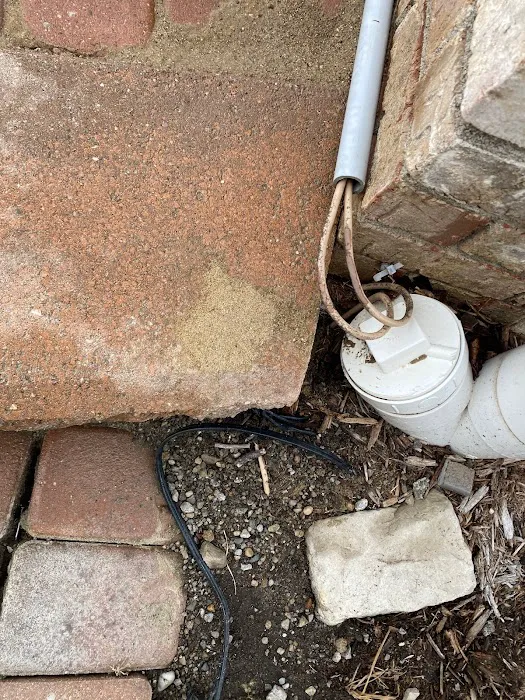 Presidio Pest Management Picture 5