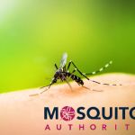 Mosquito Authority