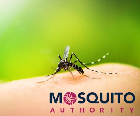 Mosquito Authority