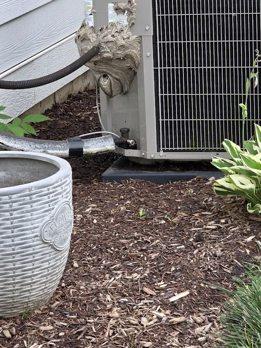 G & G Termite & Pest Control Picture 10