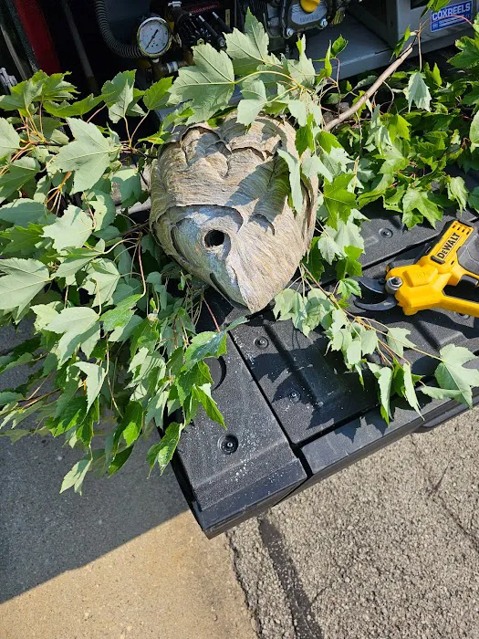G & G Termite & Pest Control Picture 6