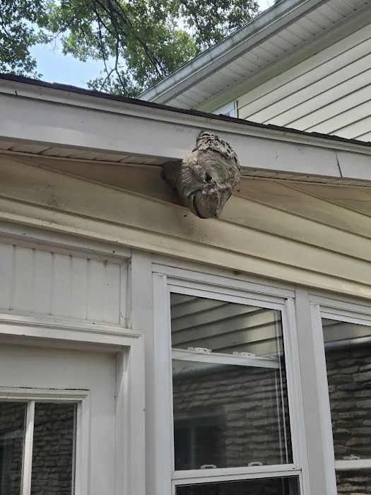 G & G Termite & Pest Control Picture 7