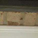 Indianapolis Pest Control