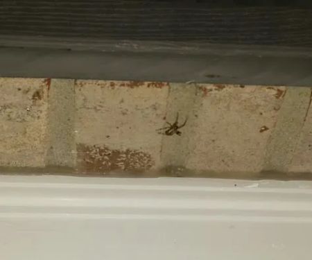 Indianapolis Pest Control
