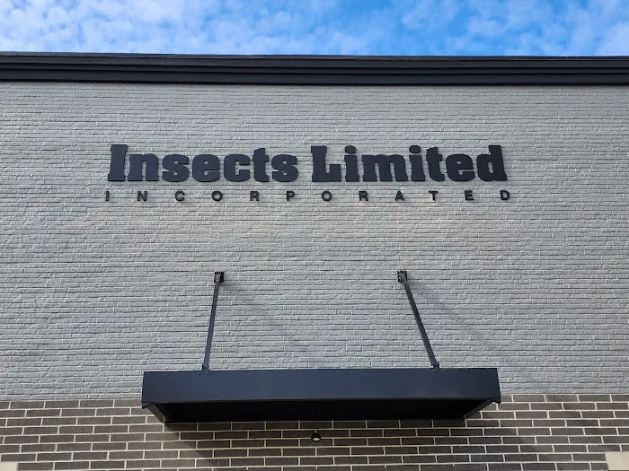 Insects Limited Inc Picture 4