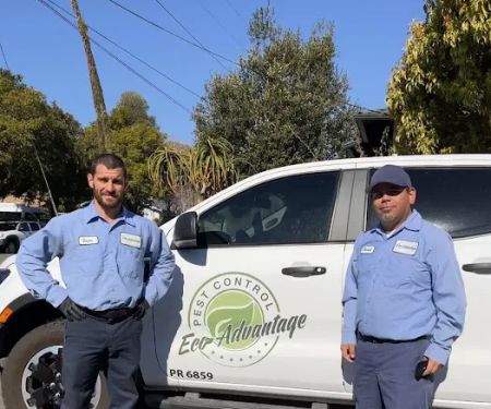 Eco Advantage Pest Control