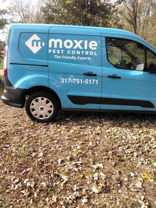 Moxie Pest Control Picture 8