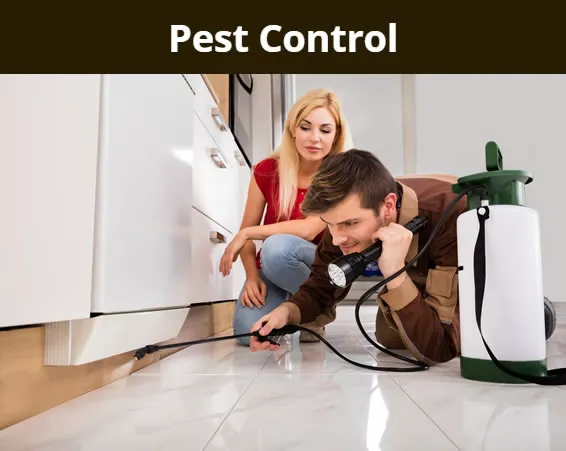 Arab Termite & Pest Control Picture 2