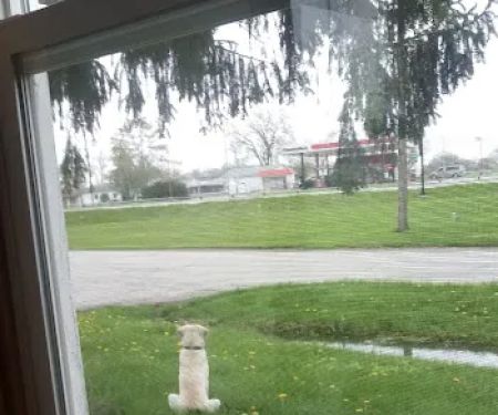 North Central Pest Control - Kokomo Indiana